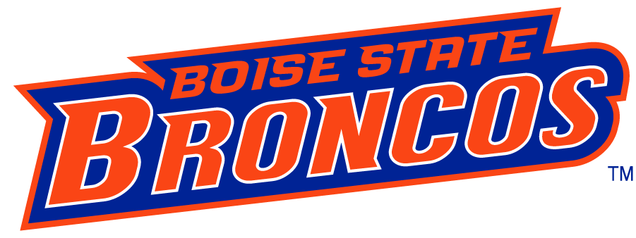 Boise State Broncos 2002-2012 Wordmark Logo v5 iron on transfers for T-shirts